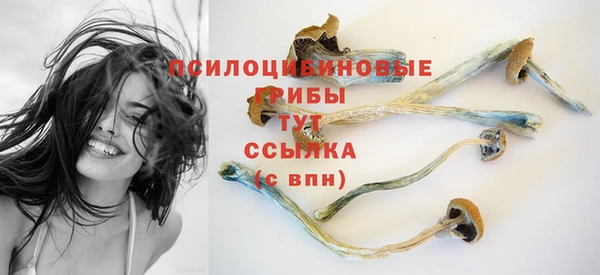 шишки Алексин