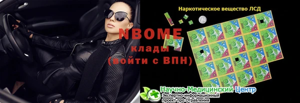 шишки Алексин