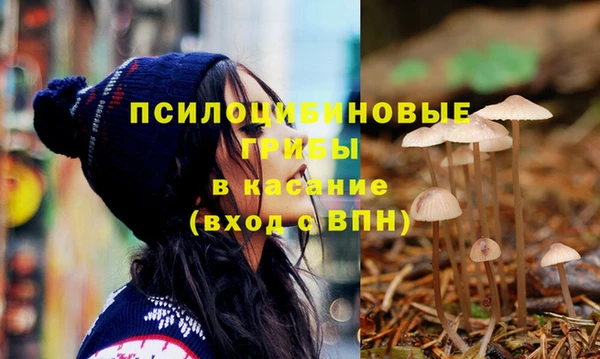 шишки Алексин