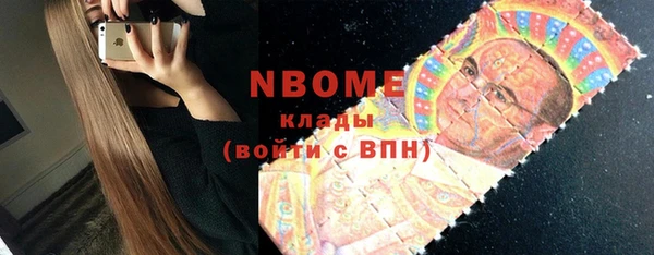 шишки Алексин