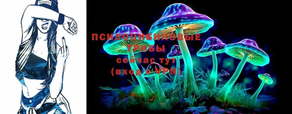 шишки Алексин